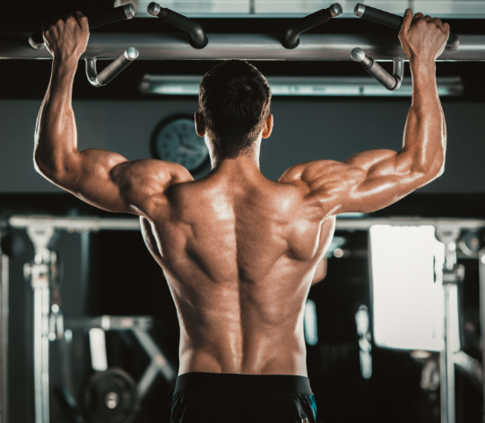 Sports & Fitness